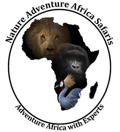 Nature Adventure Africa Safaris